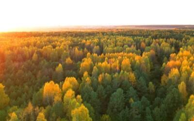Valmistaudu syksyyn ja hyödynnä hankinnoissasi 10 % alennuskoodi Oilonin Webshopissa.